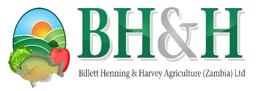 logo top